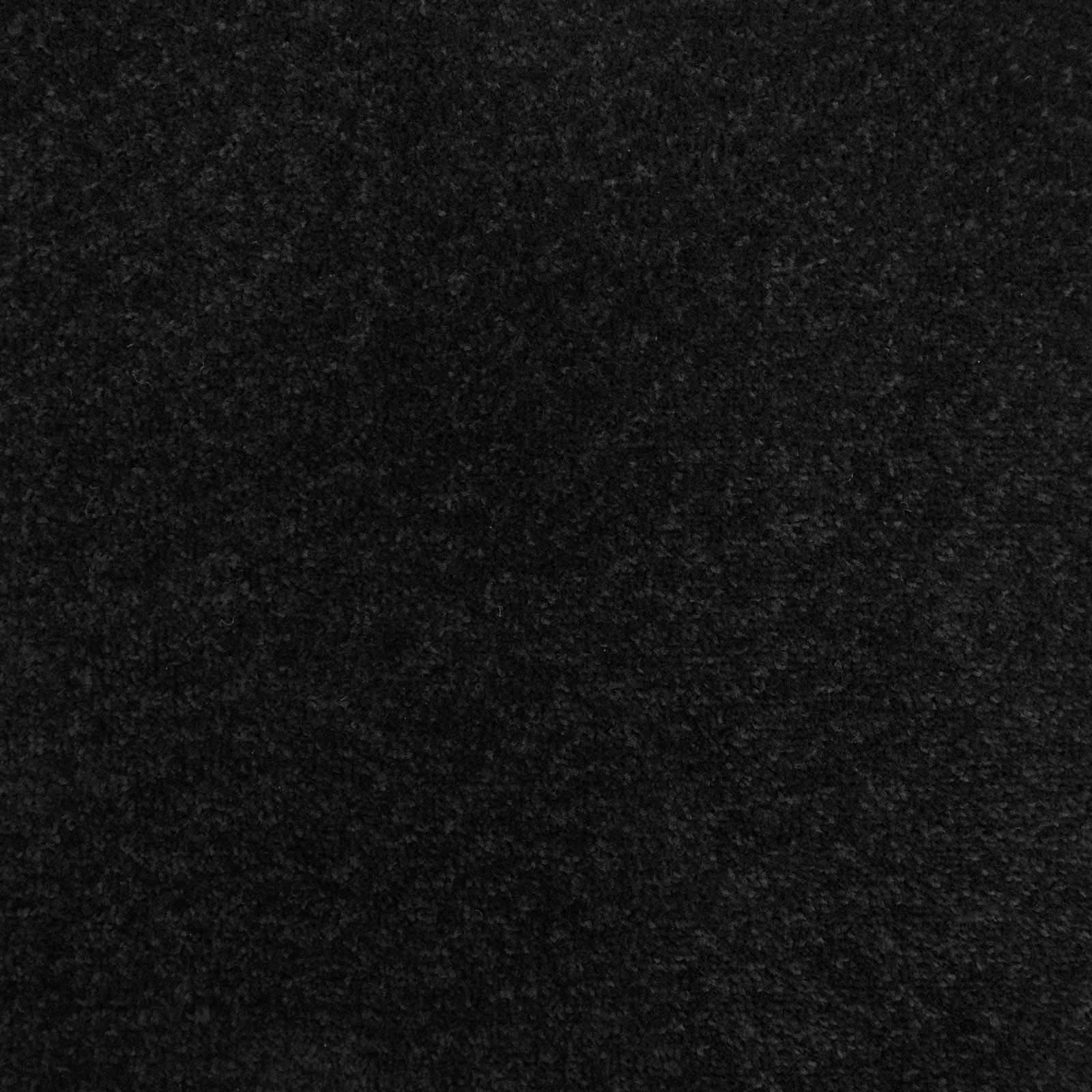 Unique Black Carpet With Luxury Interior