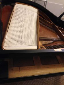 Bass String Rubbing on a Grotrian Steinweg Grand Piano | The Piano Shop Bath