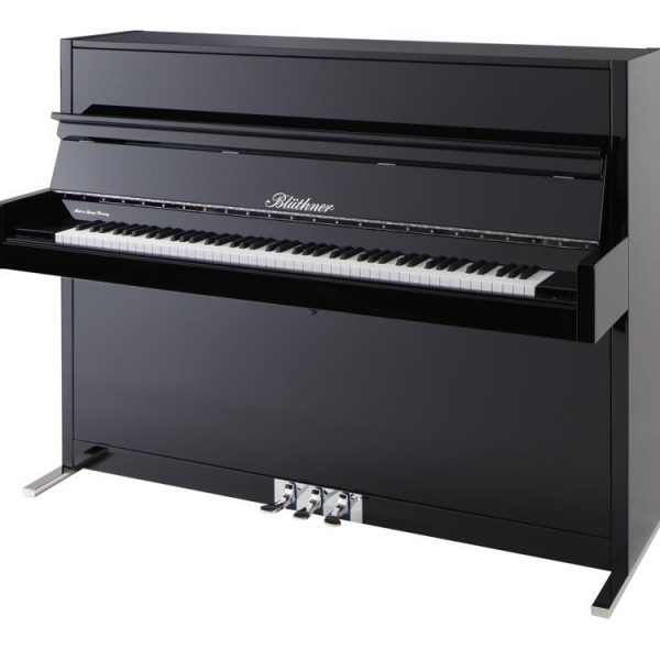 Blüthner Model D