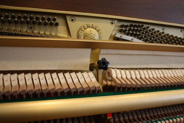 Yamaha P116E Upright Piano