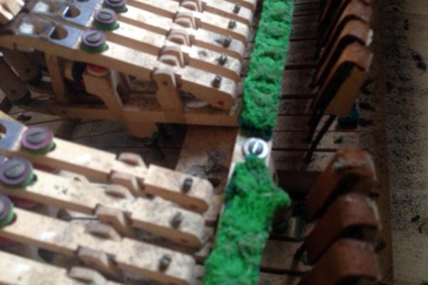 Restoration of Moth Damage to a Grand Piano