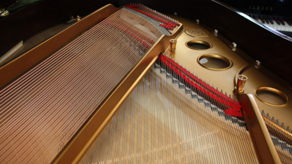 Steinway Model O Grand Piano