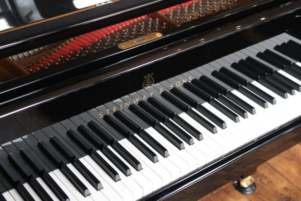 Steinway Model O